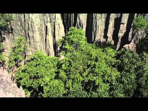Tsingy de Bemaraha Strict Nature Reserve(Madagascar)