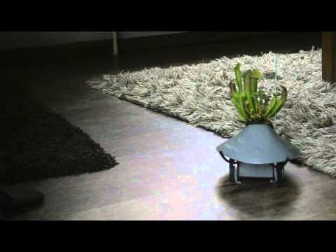 TECH: ROBOT THAT SEEKS LIGHT FOR HOUSE PLANTS YouTube Preview Image
