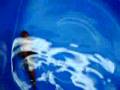 MAGNIFICENT METALLIC KOI FOR SALE EMAIL: INFO@CHICAGOKOI.COM