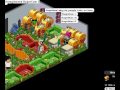 -invite scammed magicrum