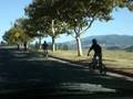 6 Lompoc BMX riders as they ride to Santa Ynez