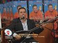 pavyon-bar-gazino-oy