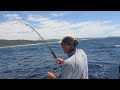 Giant Trevally's in Fiji