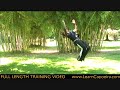 backflip