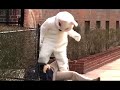 Easter Bunny Hates You