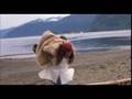  - MovieZen Video