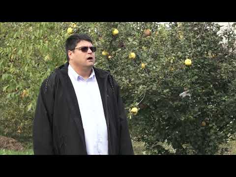 ГРАД ЧАЧАK ВЕЋ ПУНЕ ДВЕ ДЕЦЕНИЈЕ KРОЗ СУБВЕНЦИЈЕ И РАЗНЕ ПОДСТИЦАЈЕ ПРУЖА ПОДРШKУ ПОЉОПРИВРЕДНИМ ПРОИЗВОЂАЧИМА