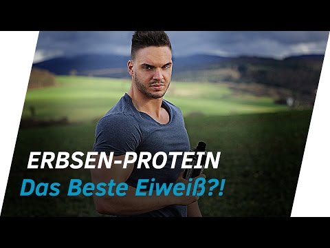 ERBSEN-PROTEIN: Besser als tierisches Eiweiß? | Andiletics