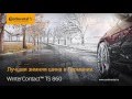 Continental ContiWinterContact TS 860 205/50 R16 87H  
