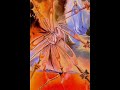 Evolution - Take me Higher
