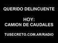 Querido-Delincuente-