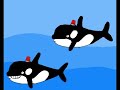 Orca Patrol Orca Patrol