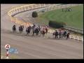 videos de [レースリプレイ] 081115 5東京3 07R