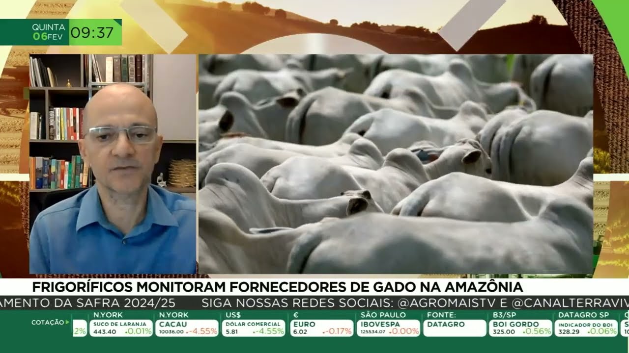 Frigoríficos monitoram fornecedores de gado na Amazônia