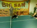 O gato ping-pong