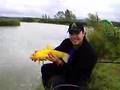 anglers paradise golden tench