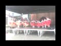Marzenie - \"Kalinka\"