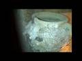 videos de Il palazzo De Beaumont-Bonelli