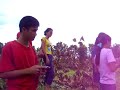 WMSU-Dumingag BSCS 4 Tree Planting Activity