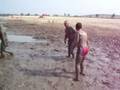 videos de Namol la jiu