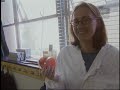 Emerging Infections: How Epidemics Arise  Influenza Infections