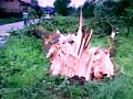 TORNADO 18.05.2008 - TRZEBINIA - BOLECIN CZ.1