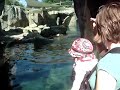 12JillyMeetsPolarBear02