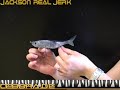 DER JACKSON REAL JERK  Mit diesem Köder ist JACKSON ein großer Wurf gelungen. Er vereint das Köderspiel eines Jerkbaits PLUS dem eines Wobblers. Im Ergebnis fängt der REAL JERK kompromisslos gut. Besonders in stark befischten Gewässern spielt dieser neue Ausnahmeköder seine ganze Stärke aus.