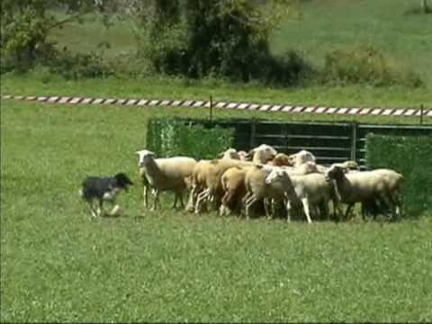 See video