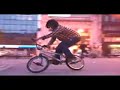 Animal ALL DAY Trailer