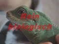 Agafix: Die Biologische L�sung