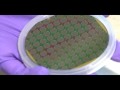 SMARTLab Microstructure Semiconductor Neutron Detector - Kansas State University