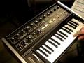 the moog micromoog