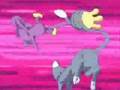 whats-new-pussycat