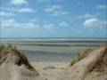 Ynyslas Borth Ceredigion West Wales