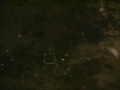Untold Music Video