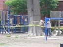 Tree Work