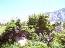 campsite campsite