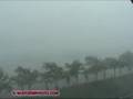 Southeast Virginia Microburst