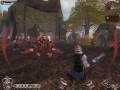 Fighting TwinBlade from Fable
