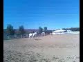 Briarwood Farm Horse Show Briarwood Farm Horse Show