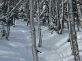 Jacques, Jay Peak 2008