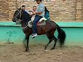 PRINCIPE DE JUBILOSO video 3