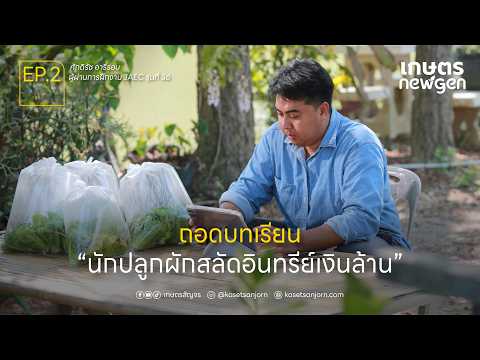 ถอดบทเรียนนักปลูกผักสลัดอินทรีย์เงินล้าน  | เกษตร New Gen EP.2