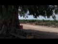 videos de ido's race buggy 5