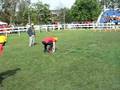 videos de viva zapata