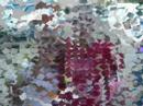 Mis peque�os