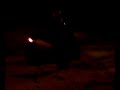 Nightrider on Ice2 MarcSchneider