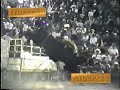Jaripeo
