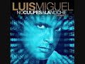 Luis Miguel   Alguien Como Tu Remix